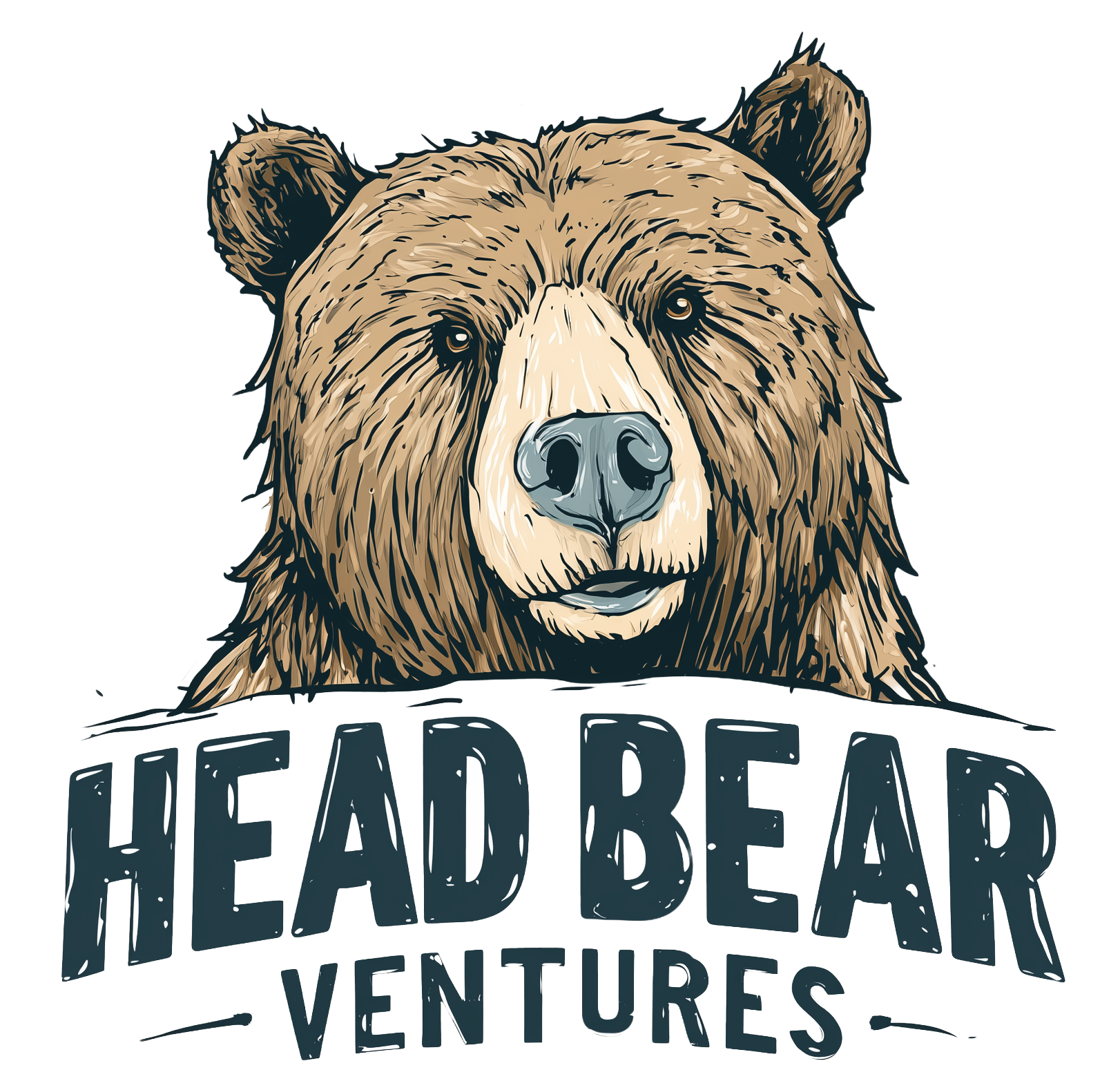 Head Bear Ventures Ltd. – Public Accountants